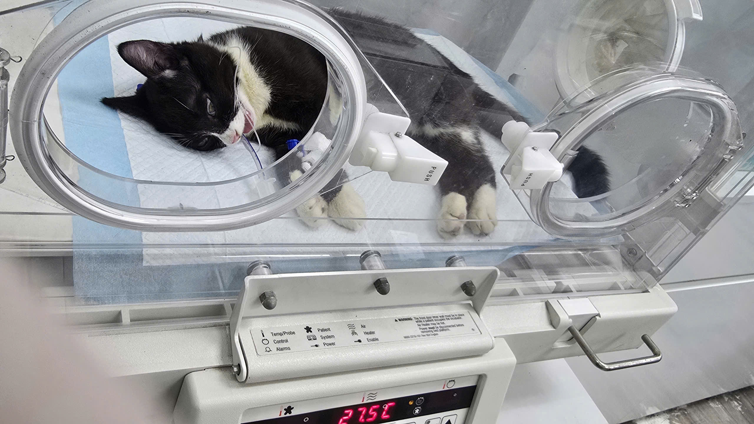 Bệnh viện Thú Y Gia Kiệm - Hình 18